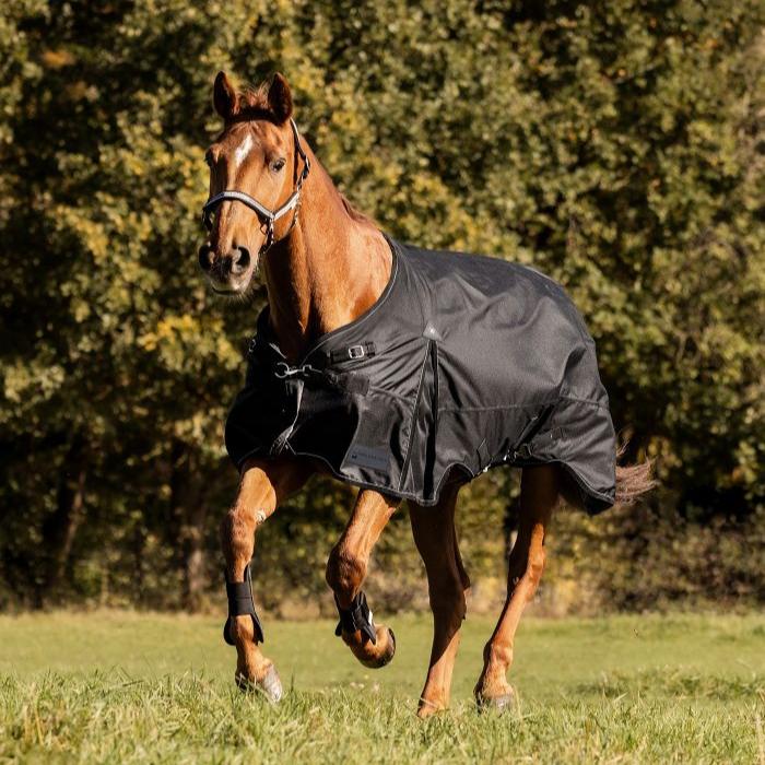Waldhausen Scandic 300g Turnout Rug - Image 2