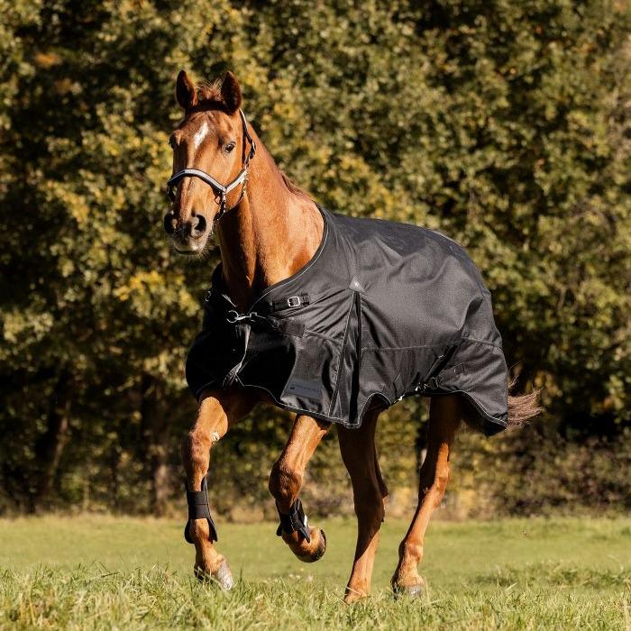 Waldhausen Scandic 50g Turnout Rug - Image 2