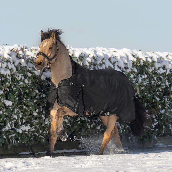 Waldhausen Scandic High Neck 100g Turnout Rug - Image 2