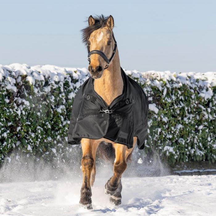 Waldhausen Scandic High Neck 100g Turnout Rug - Image 4