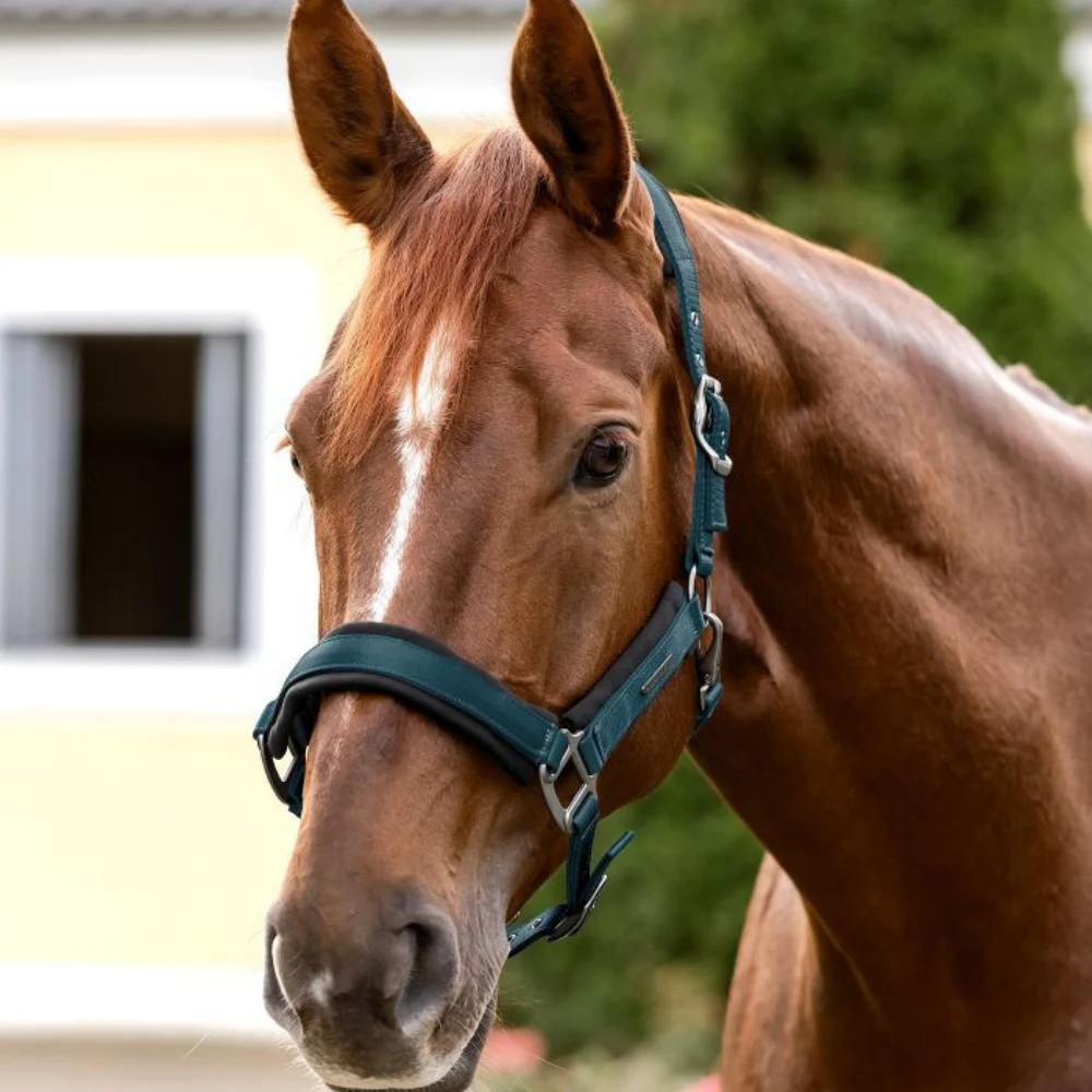Waldhausen Soft Touch Halter - Image 2