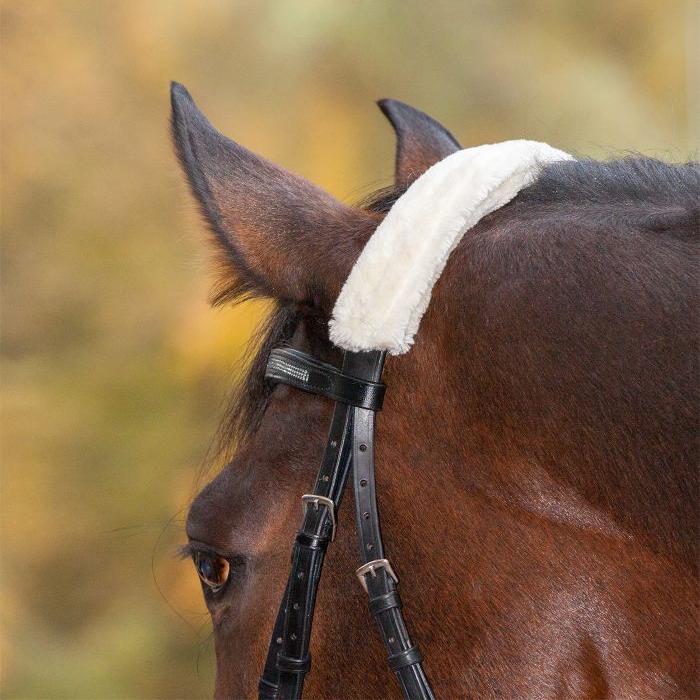 Waldhausen Synthetic Fabric Noseband Cover - Image 2