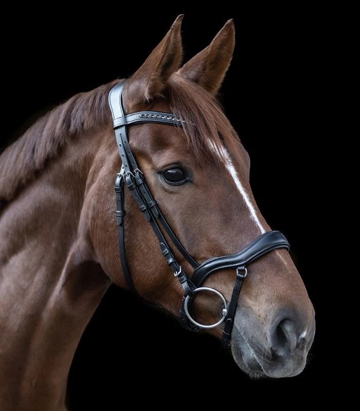 Waldhausen X-Line Bridle New Shape II - Image 4
