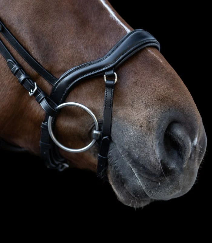Waldhausen X-Line Bridle New Shape II - Image 5
