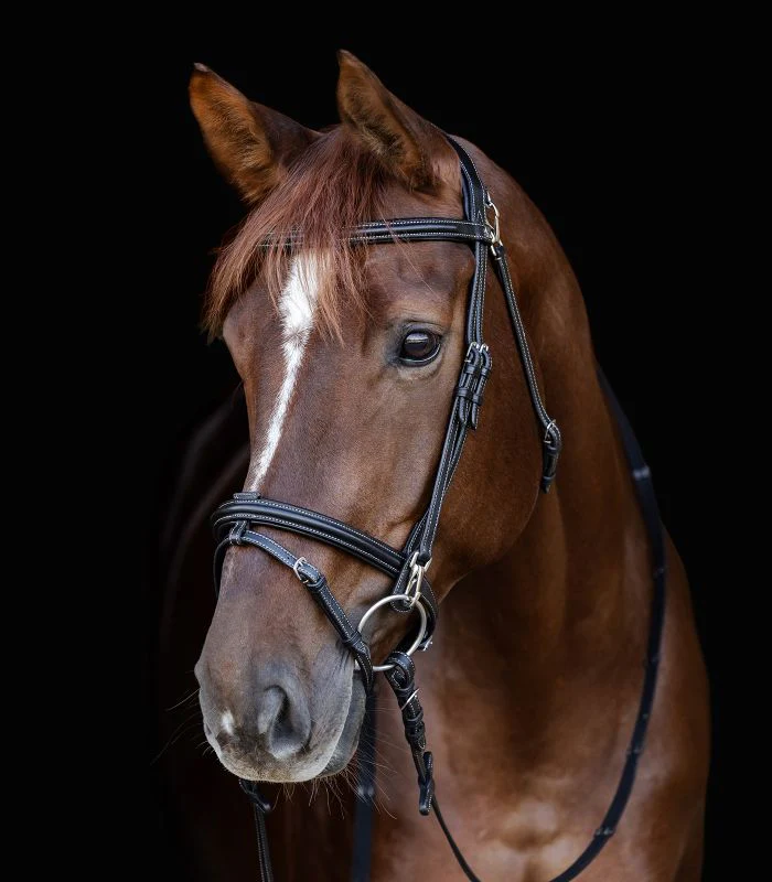 Waldhausen X-Line Bridle Work - Image 3