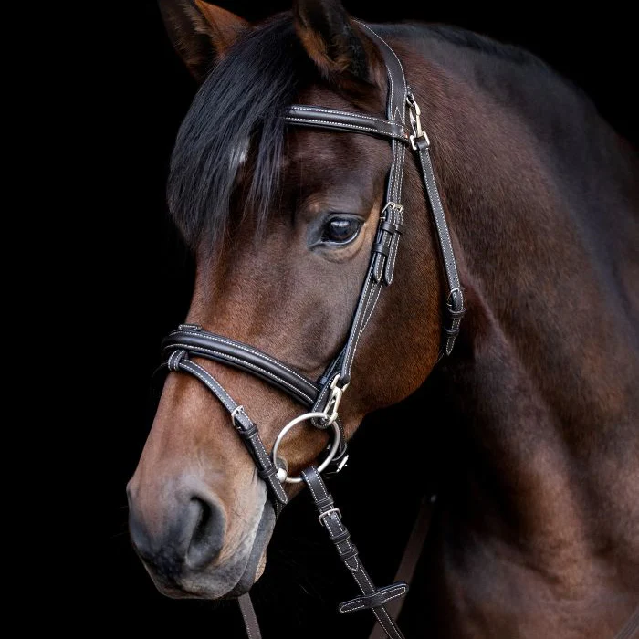 Waldhausen X-Line Bridle Work - Image 6