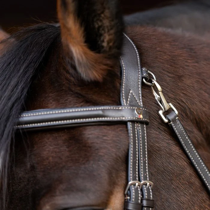 Waldhausen X-Line Bridle Work - Image 7