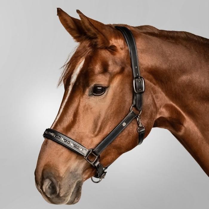 Waldhausen X-Line Leather Halter Crystal - Image 3
