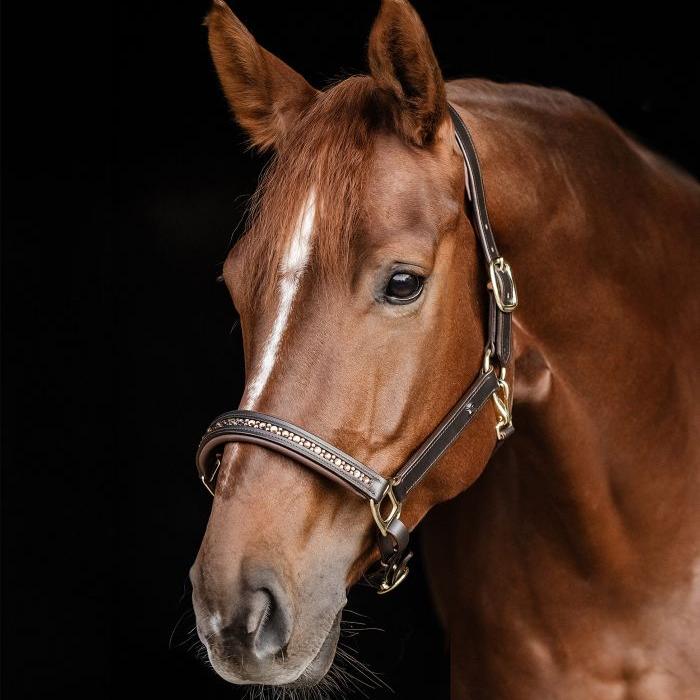 Waldhausen X-Line Leather Halter Crystal - Image 6