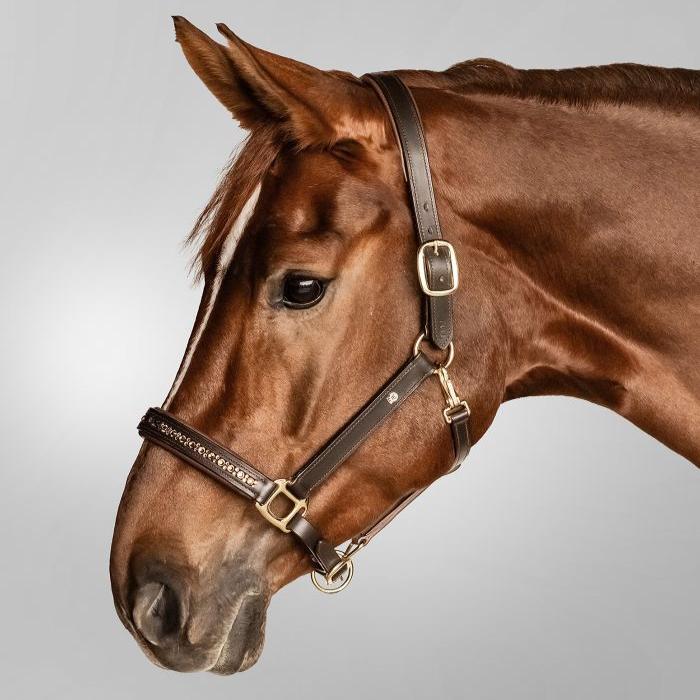 Waldhausen X-Line Leather Halter Crystal - Image 7