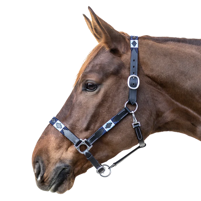 Waldhausen X-Line Polo Leather Halter - Image 2