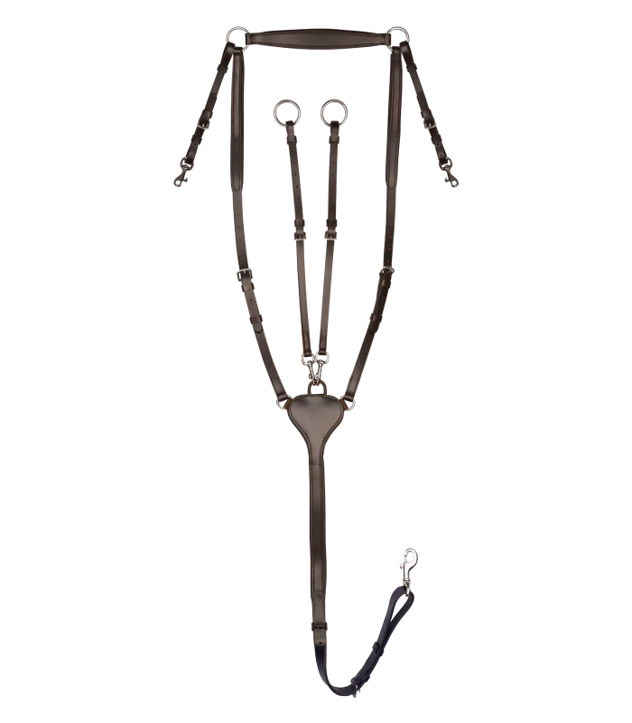 Waldhausen X-Line Professional Breastplate - Image 2