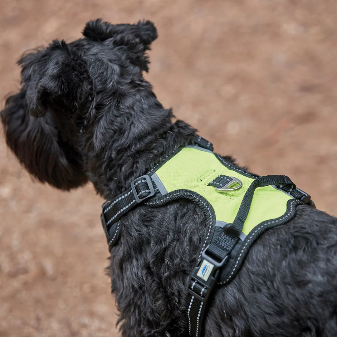 Weatherbeeta Anti Pull/Travel Harness - Image 4