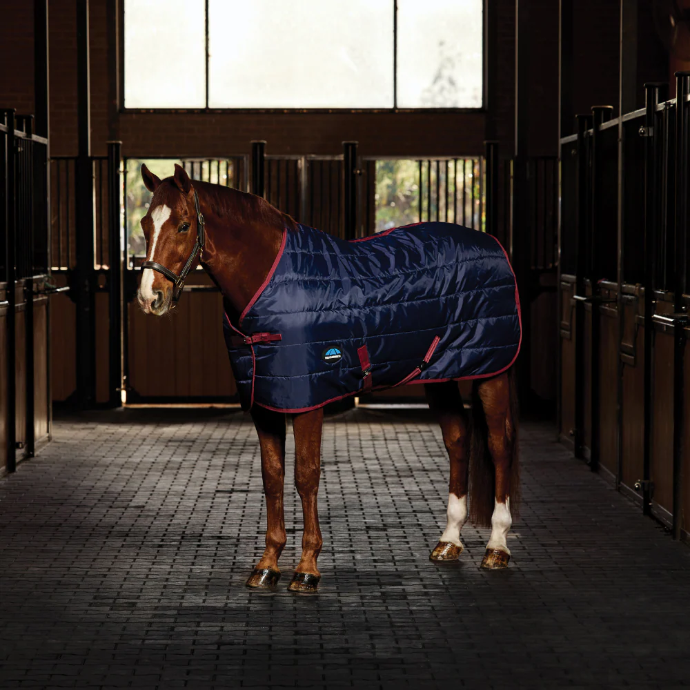Weatherbeeta Comfitec 210D Channel Quilt 100G Standard Neck Stable