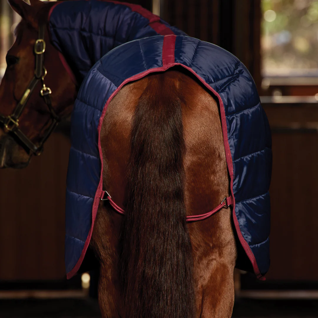 Weatherbeeta Comfitec 210D Channel Quilt 100G Combo Neck Stable - Image 4