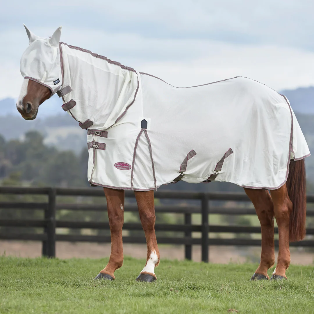 Weatherbeeta Comfitec Airflow II Combo Neck Rug - Image 3