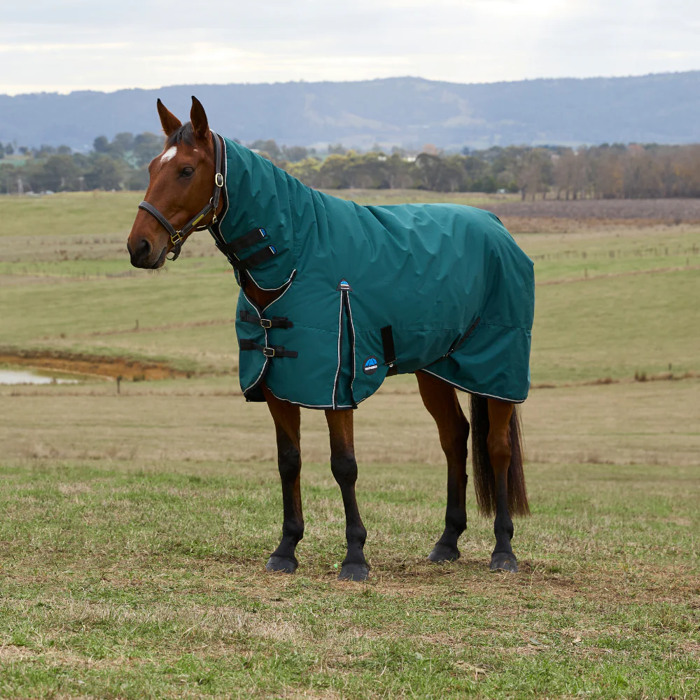 Weatherbeeta Comfitec Classic 220G Combo Turnout