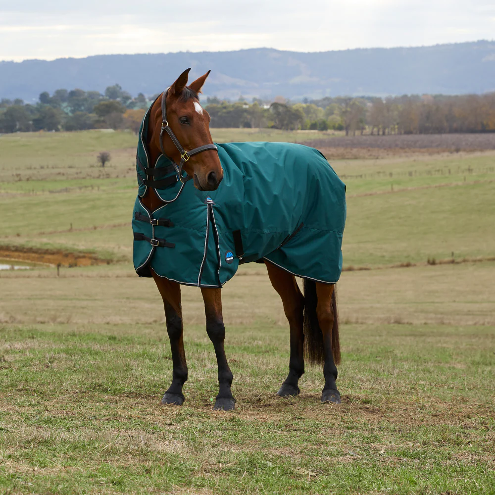 Weatherbeeta Comfitec Classic 220G Combo Turnout - Image 2