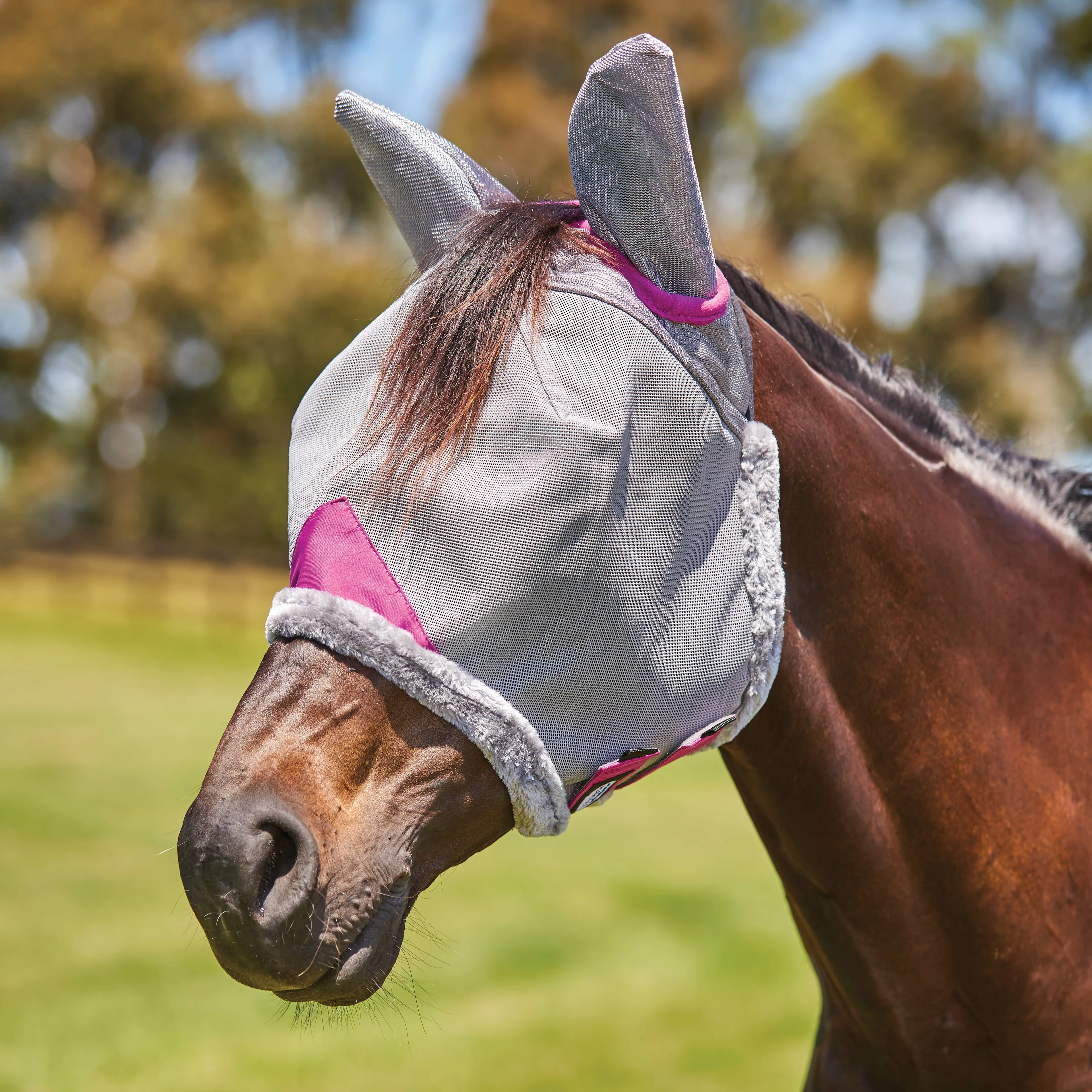 Weatherbeeta ComfiTec Deluxe Durable Mesh Mask With Ears - Image 3