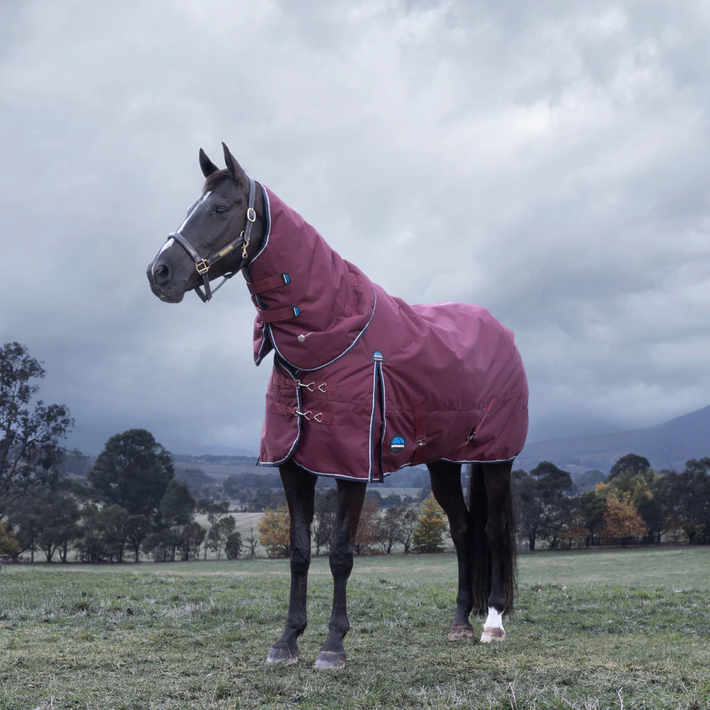 Weatherbeeta Comfitec Essential 220G Detach-A-Neck Turnout