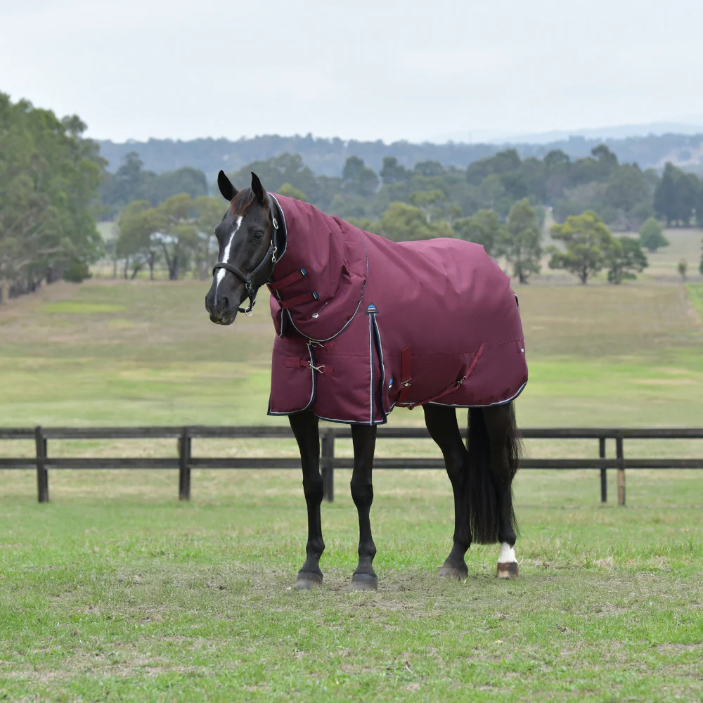 Weatherbeeta Comfitec Essential 220G Detach-A-Neck Turnout - Image 4