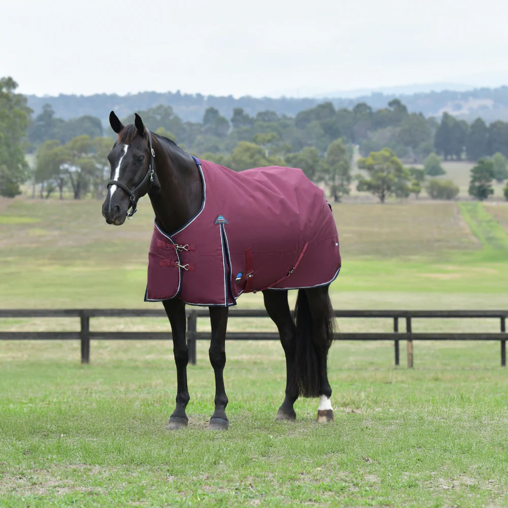 Weatherbeeta Comfitec Essential 220G Turnout