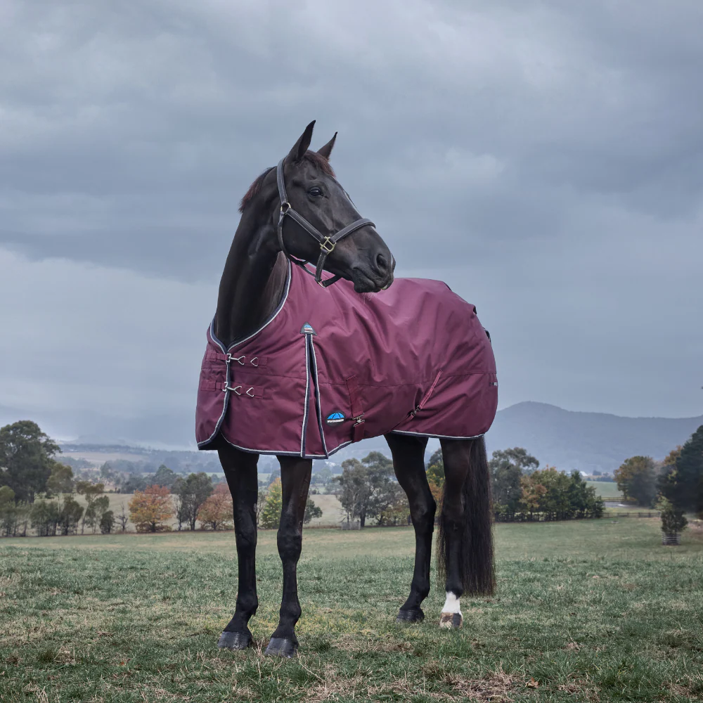 Weatherbeeta Comfitec Essential 220G Turnout - Image 2