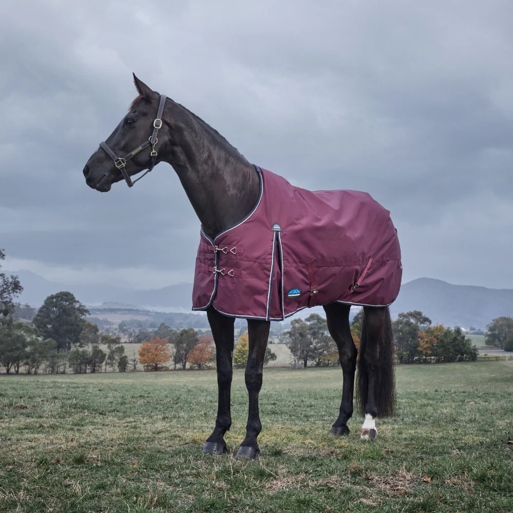 Weatherbeeta Comfitec Essential 220G Turnout - Image 3
