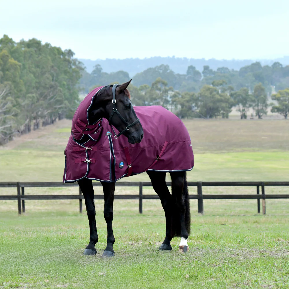 Weatherbeeta Comfitec Essential 50G Combo Turnout - Image 2