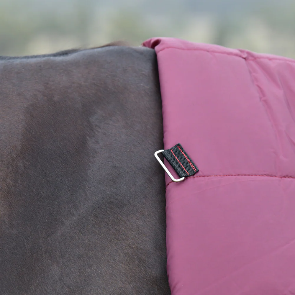 Weatherbeeta Comfitec Essential 50G Combo Turnout - Image 8