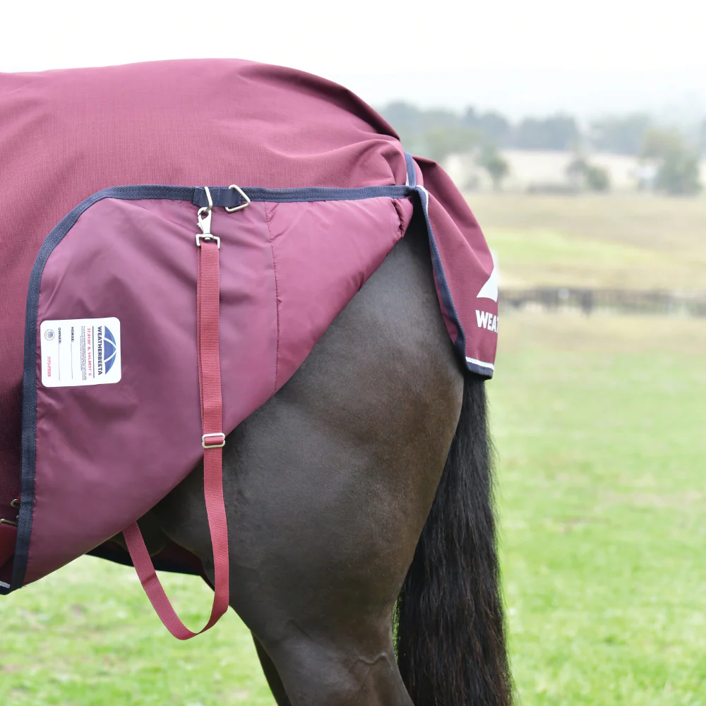 Weatherbeeta Comfitec Essential 50G Detach-A-Neck Turnout - Image 4