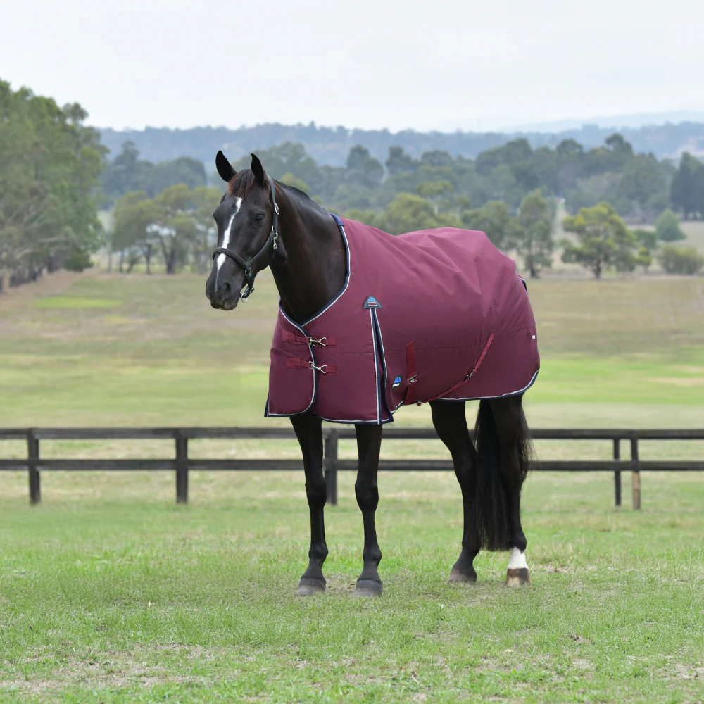 Weatherbeeta Comfitec Essential 50G Turnout