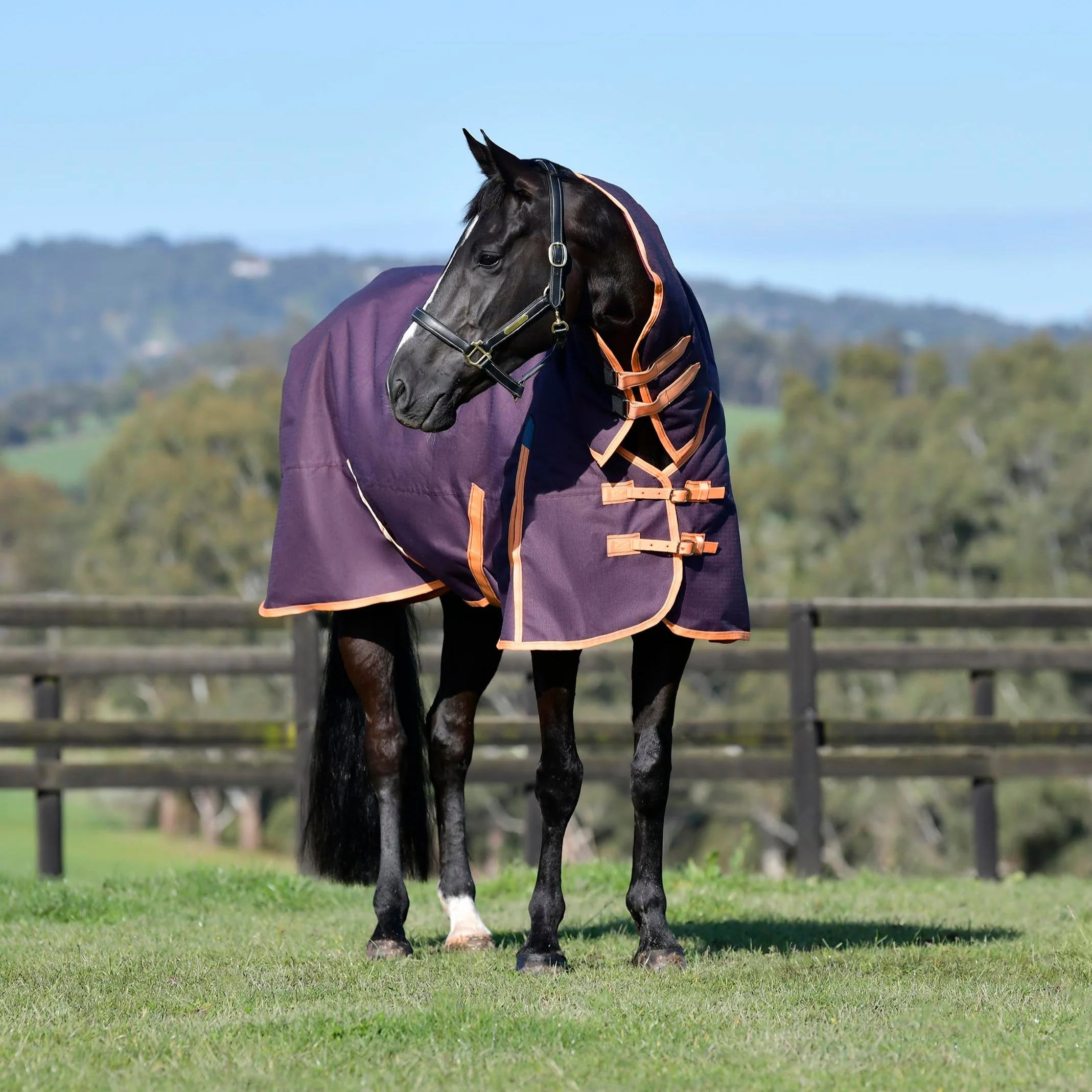Weatherbeeta ComFiTec Essential Combo Neck Heavy Turnout Rug