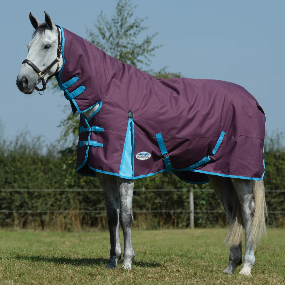 Weatherbeeta ComFiTec Essential Combo Neck Heavy Turnout Rug - Image 10