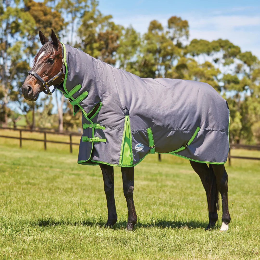 Weatherbeeta ComFiTec Essential Combo Neck Heavy Turnout Rug - Image 12