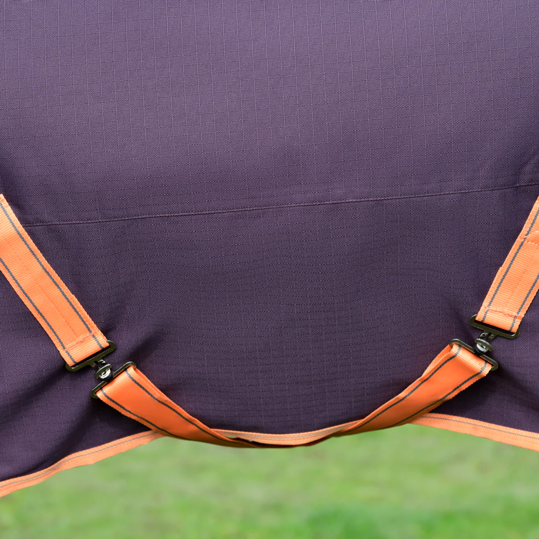 Weatherbeeta ComFiTec Essential Standard Neck Medium Turnout - Image 15