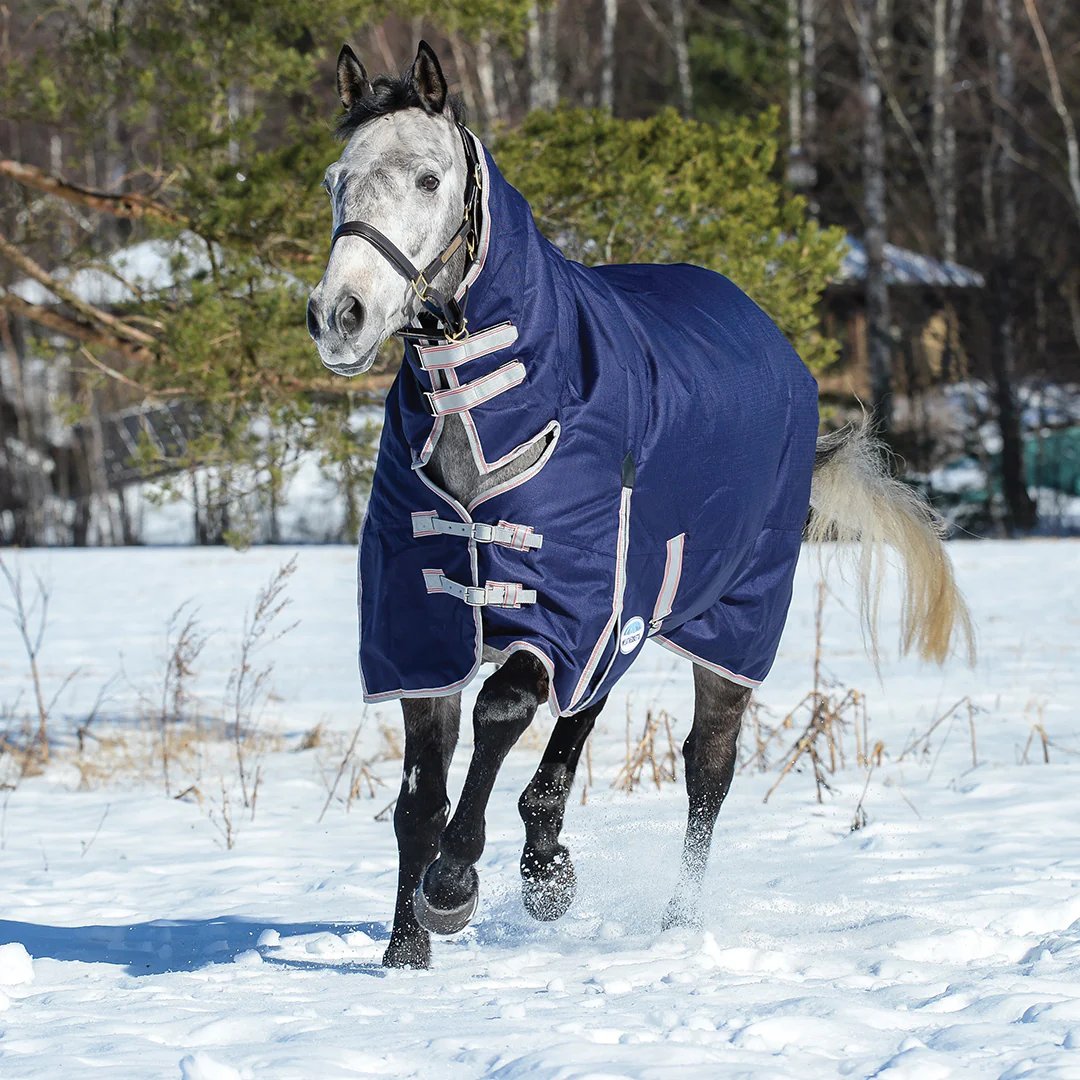 Weatherbeeta ComFiTec Essential Combo Neck Heavy Turnout Rug - Image 8