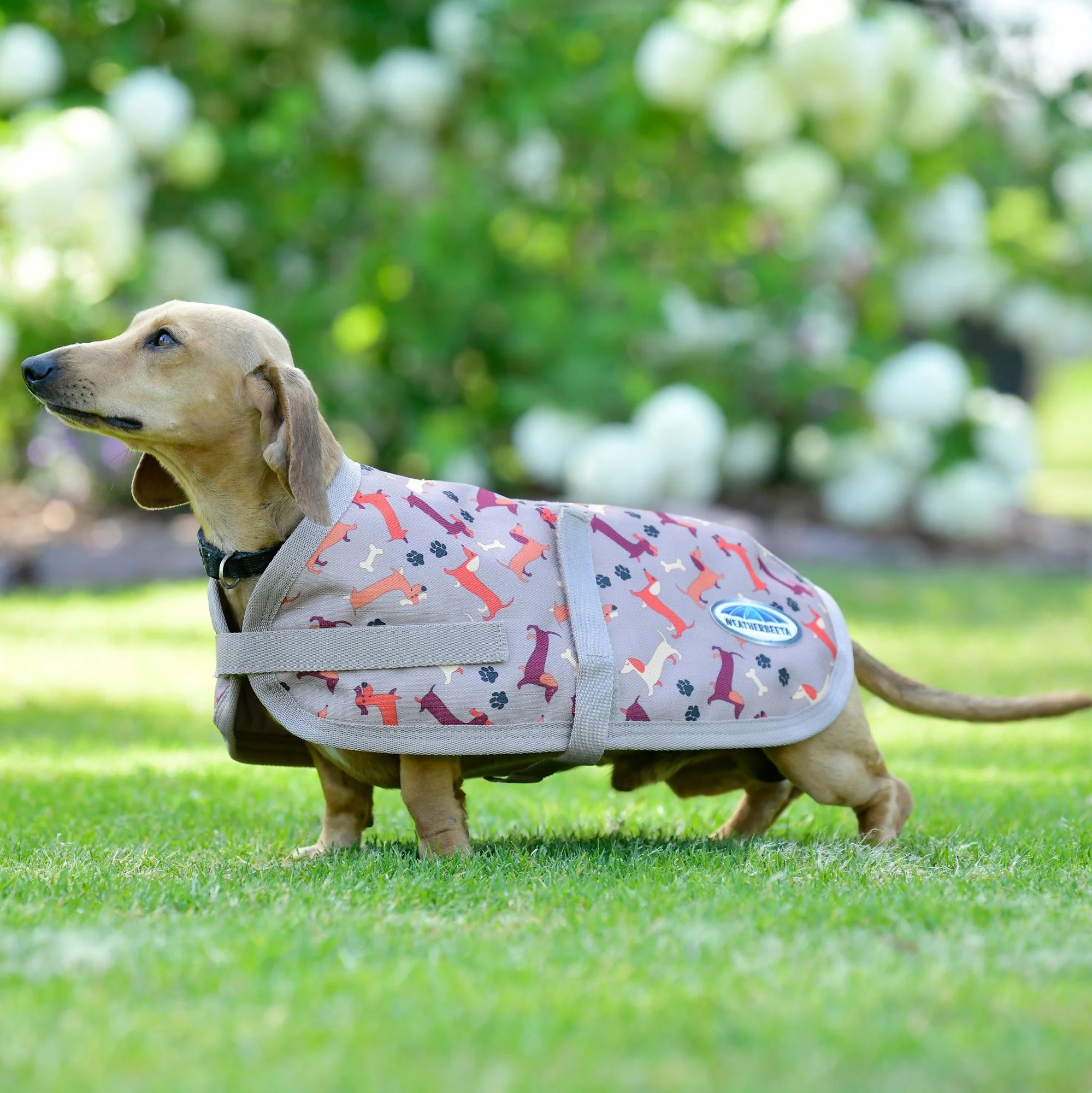 Weatherbeeta Comfitec Essential Dog Coat