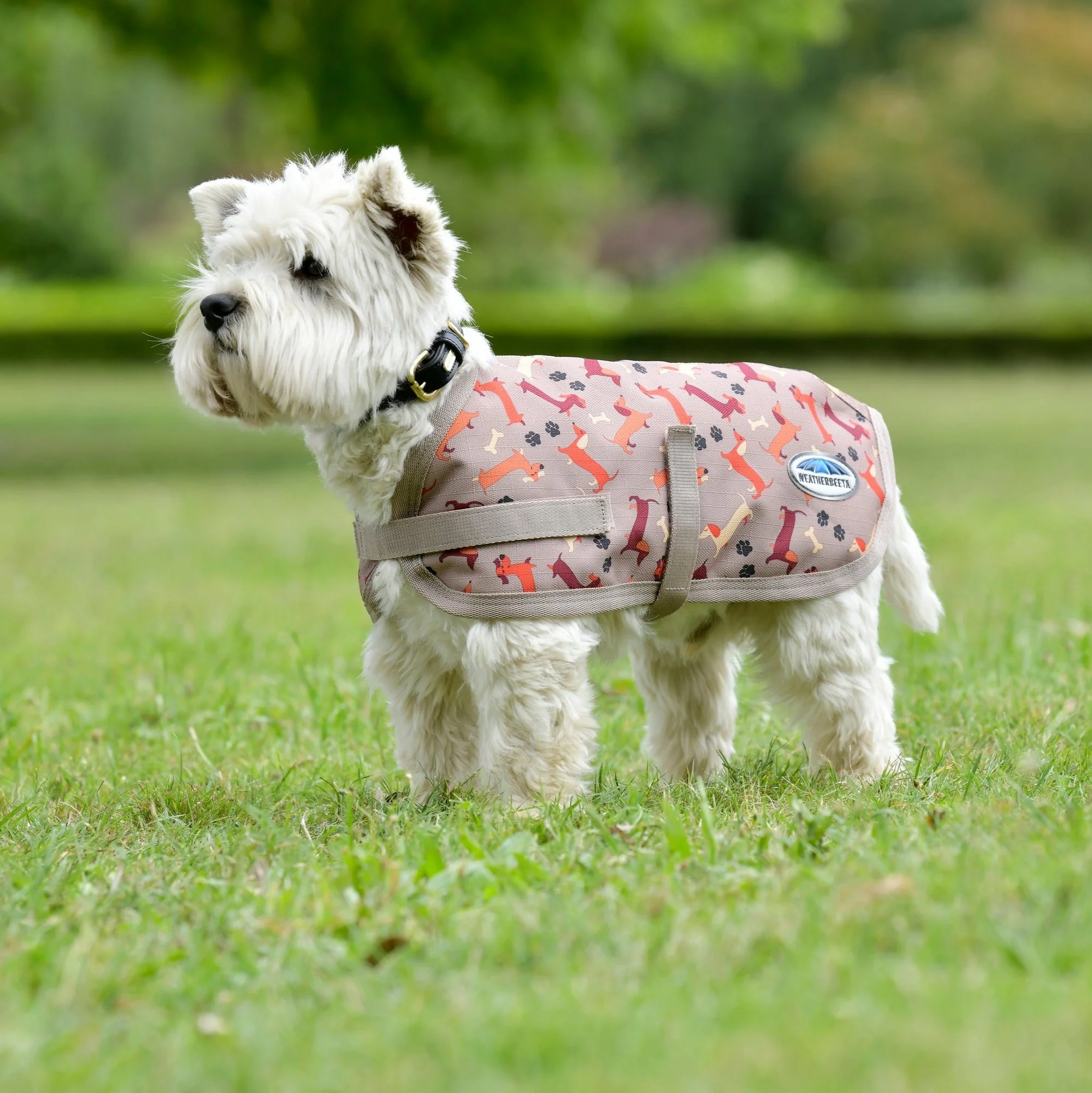 Weatherbeeta Comfitec Essential Dog Coat - Image 3