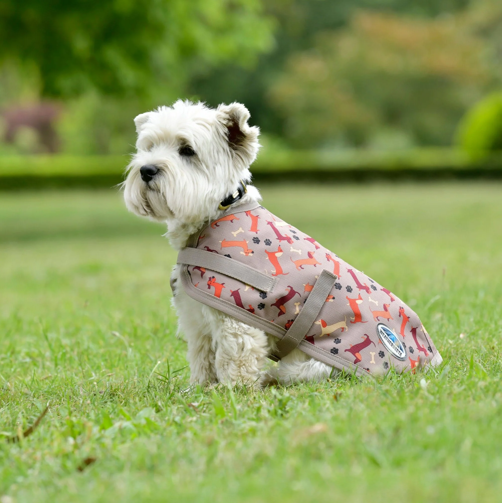 Weatherbeeta Comfitec Essential Dog Coat - Image 4