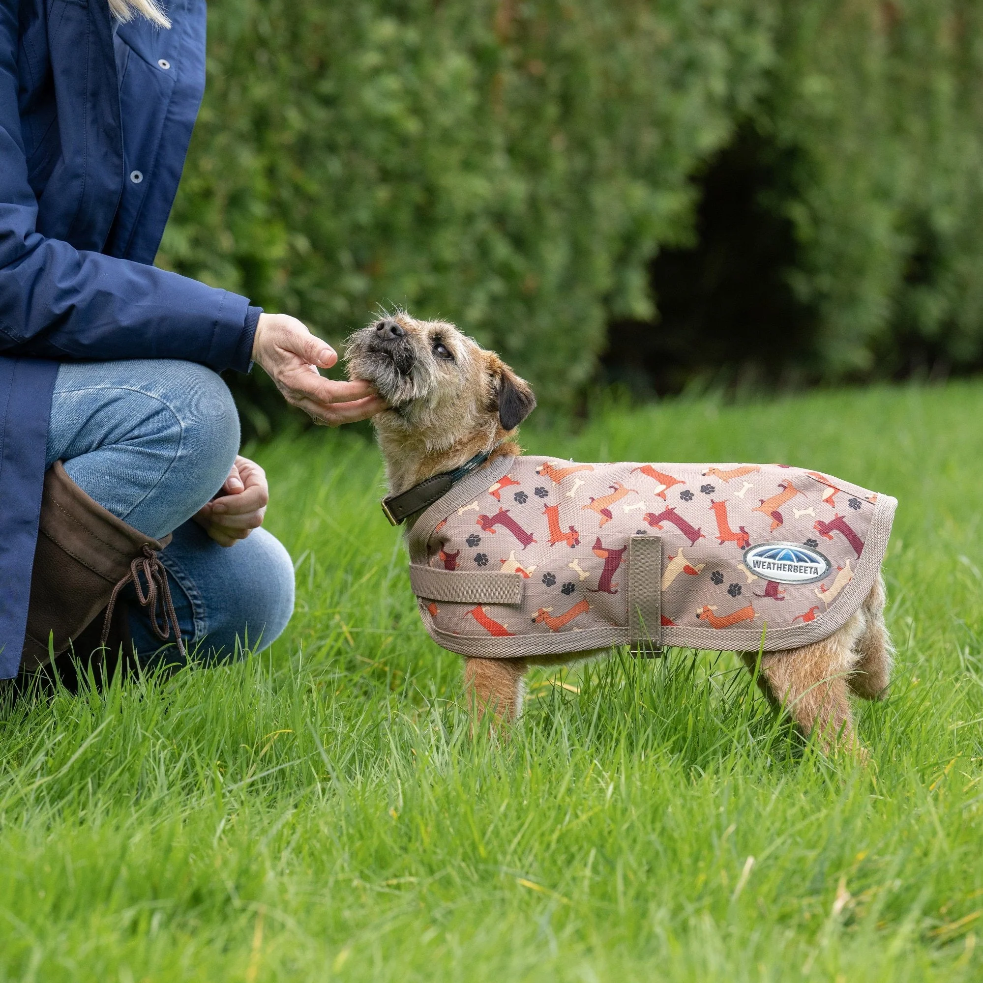 Weatherbeeta Comfitec Essential Dog Coat - Image 6