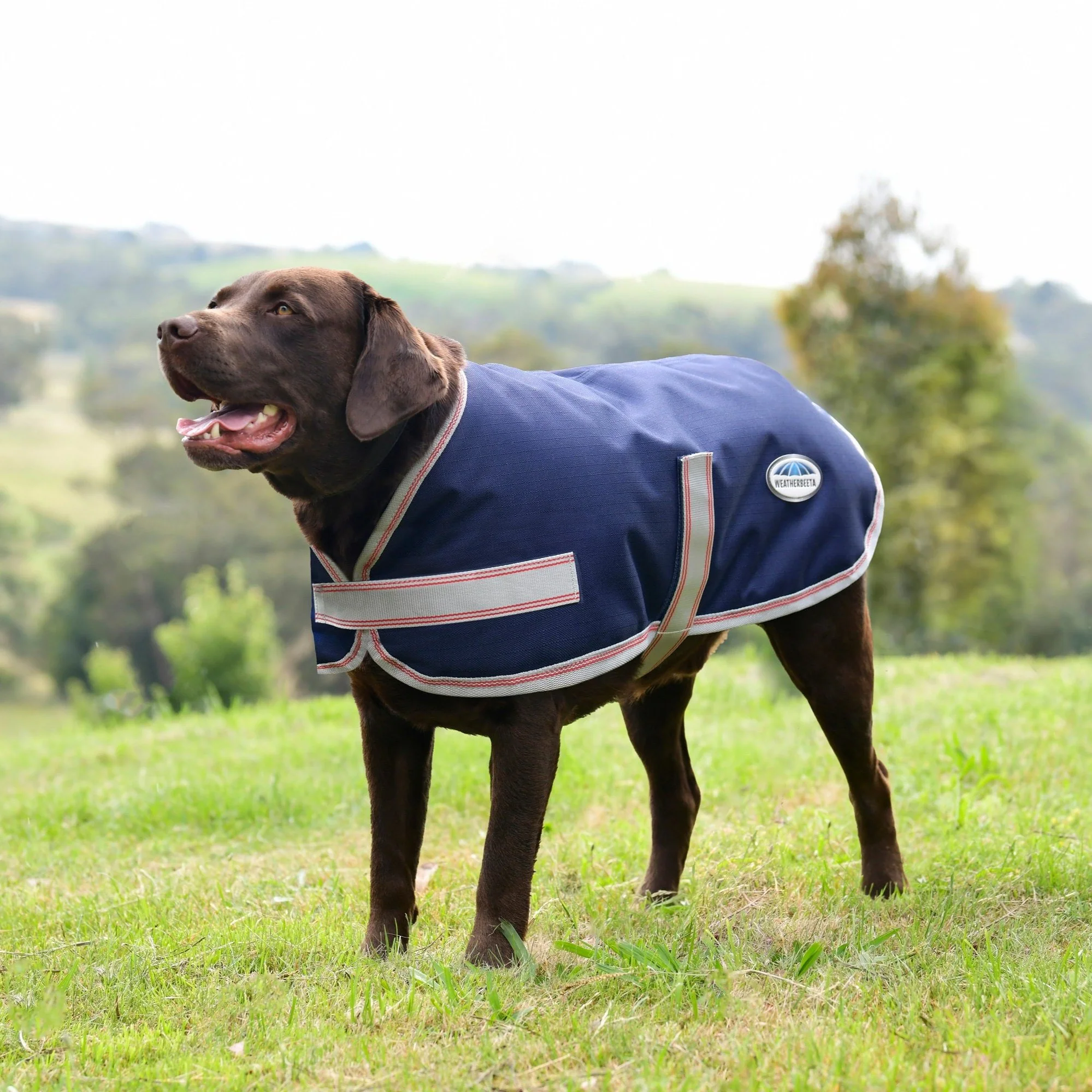 Weatherbeeta Comfitec Essential Dog Coat - Image 8