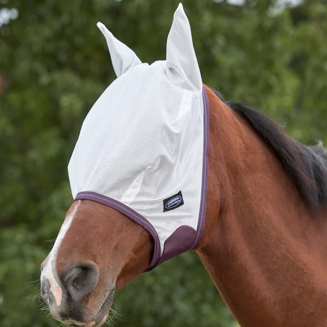 WeatherBeeta Comfitec Essential Mesh Fly Mask - Image 3