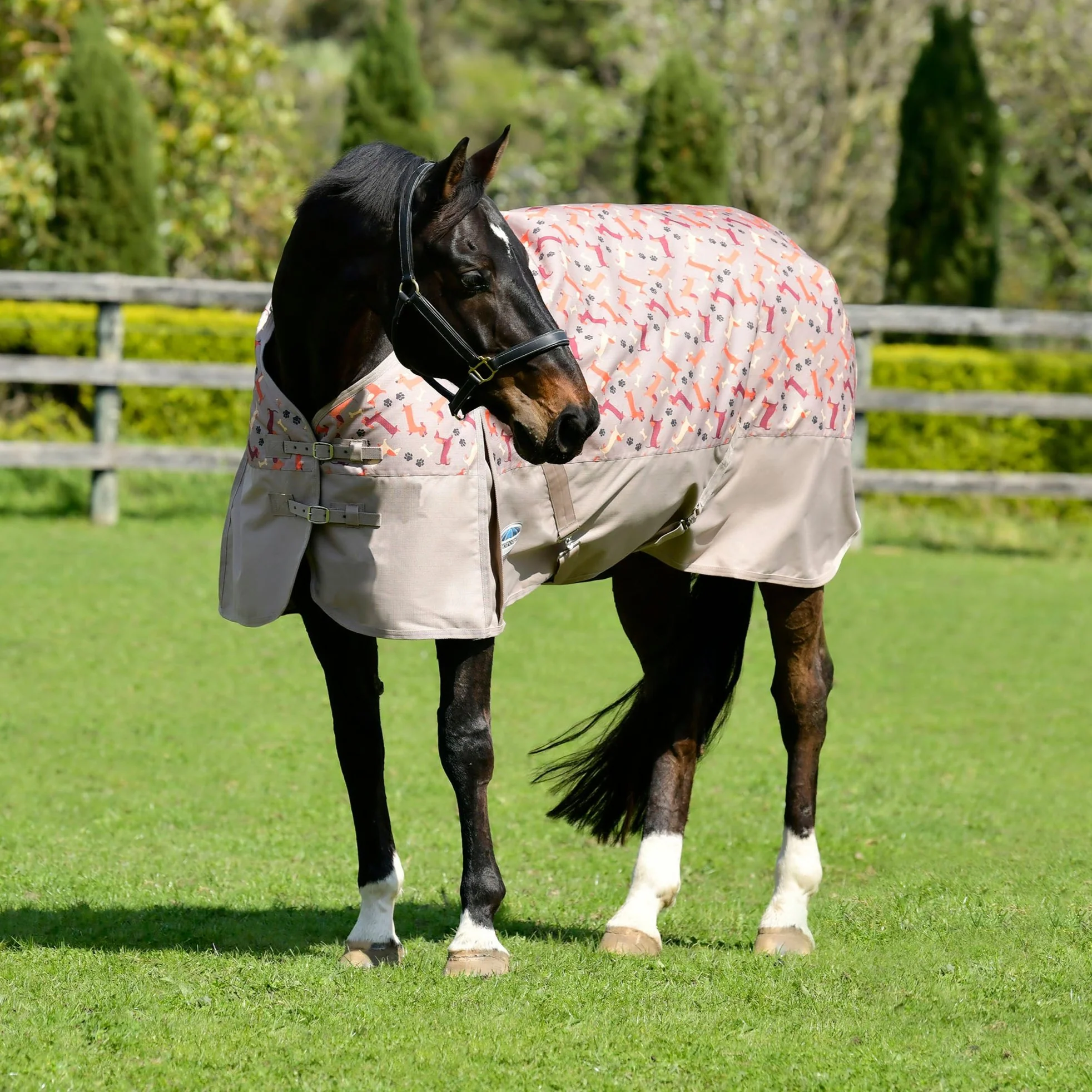 Weatherbeeta ComFiTec Essential Standard Neck Lite Plus Rug - Image 3