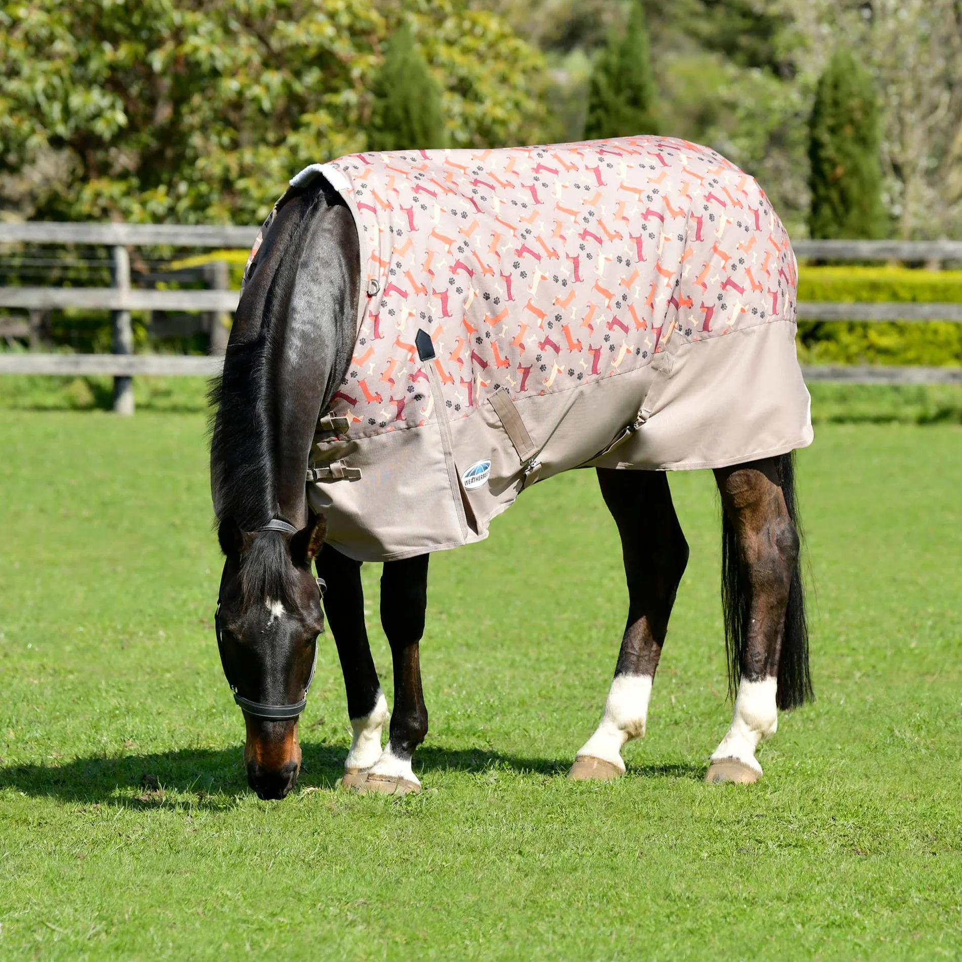 Weatherbeeta ComFiTec Essential Standard Neck Lite Plus Rug - Image 4