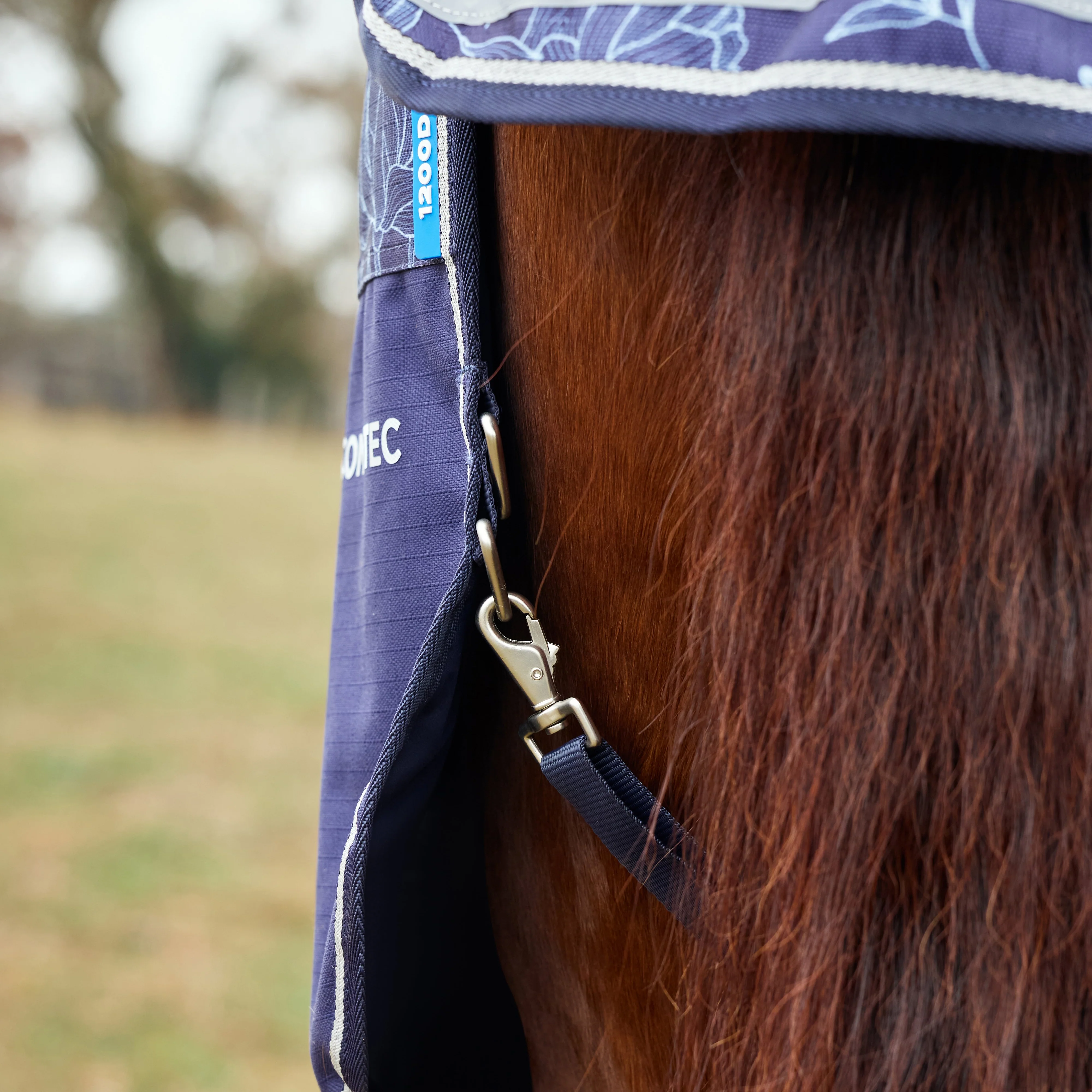 Weatherbeeta Comfitec Limited Edition 50g Turnout Rug - Image 4