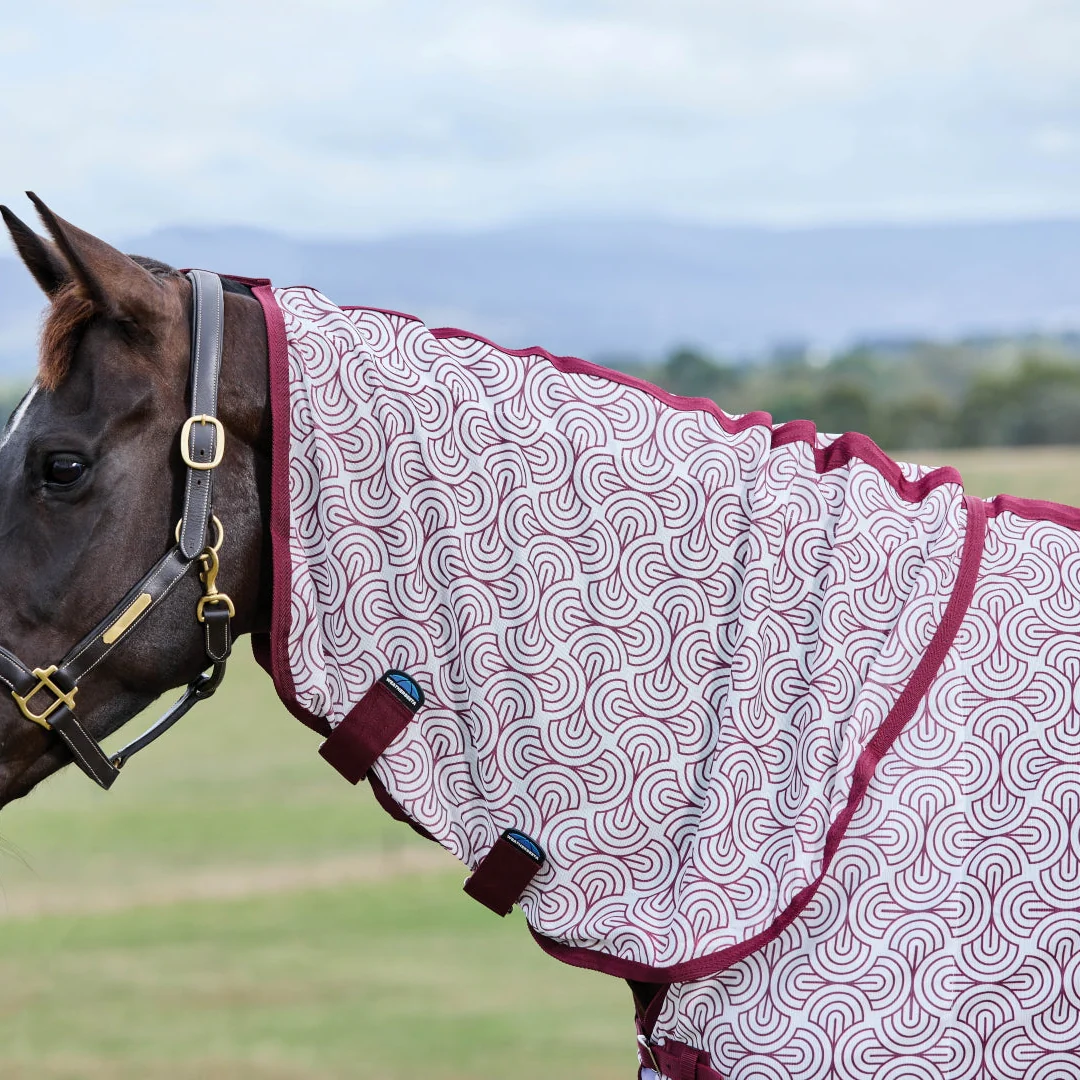 Weatherbeeta Comfitec Limited Edition Fly Sheet Combo - Image 3