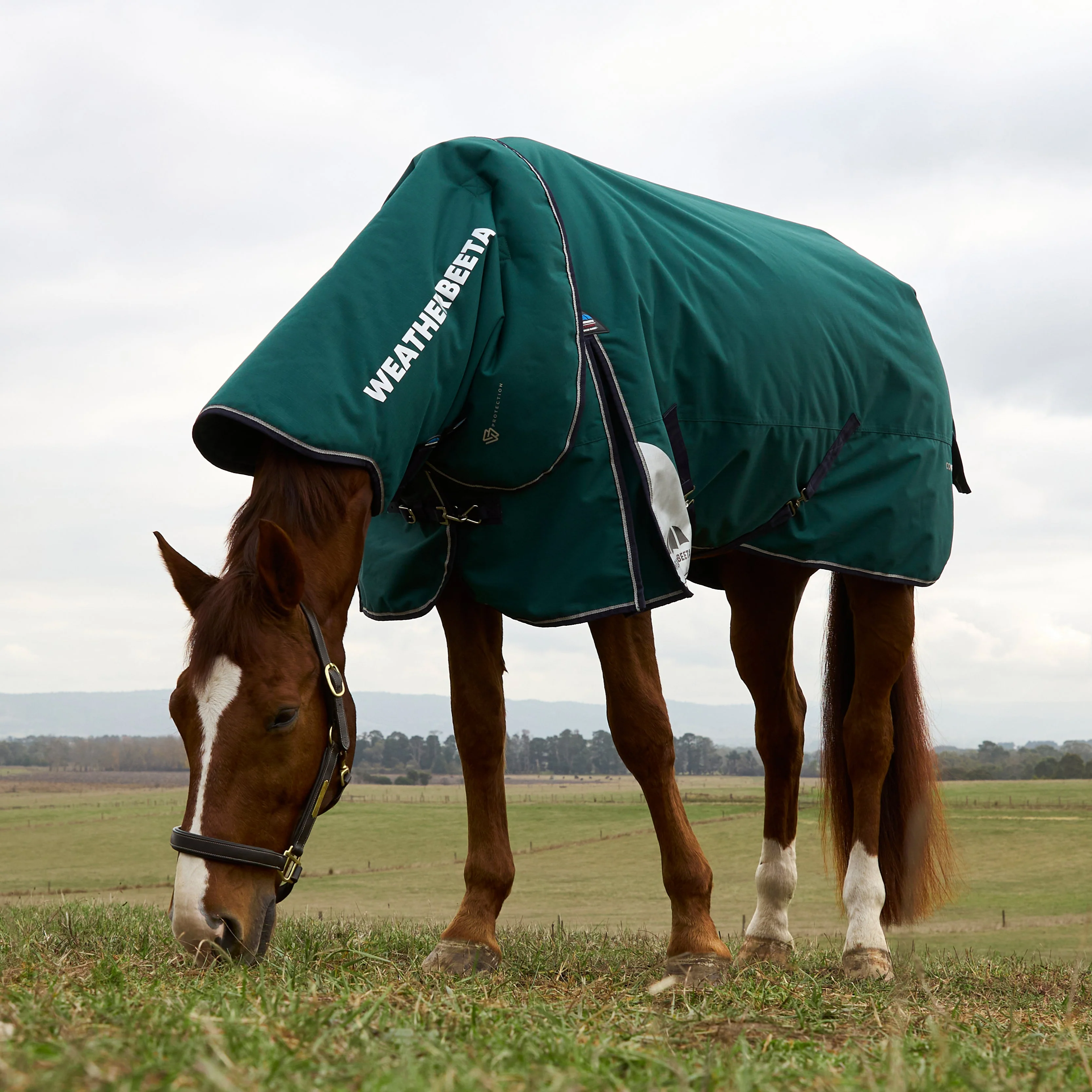 Weatherbeeta Comfitec Plus Dynamic 0G Detach-A-Neck Turnout - Image 2