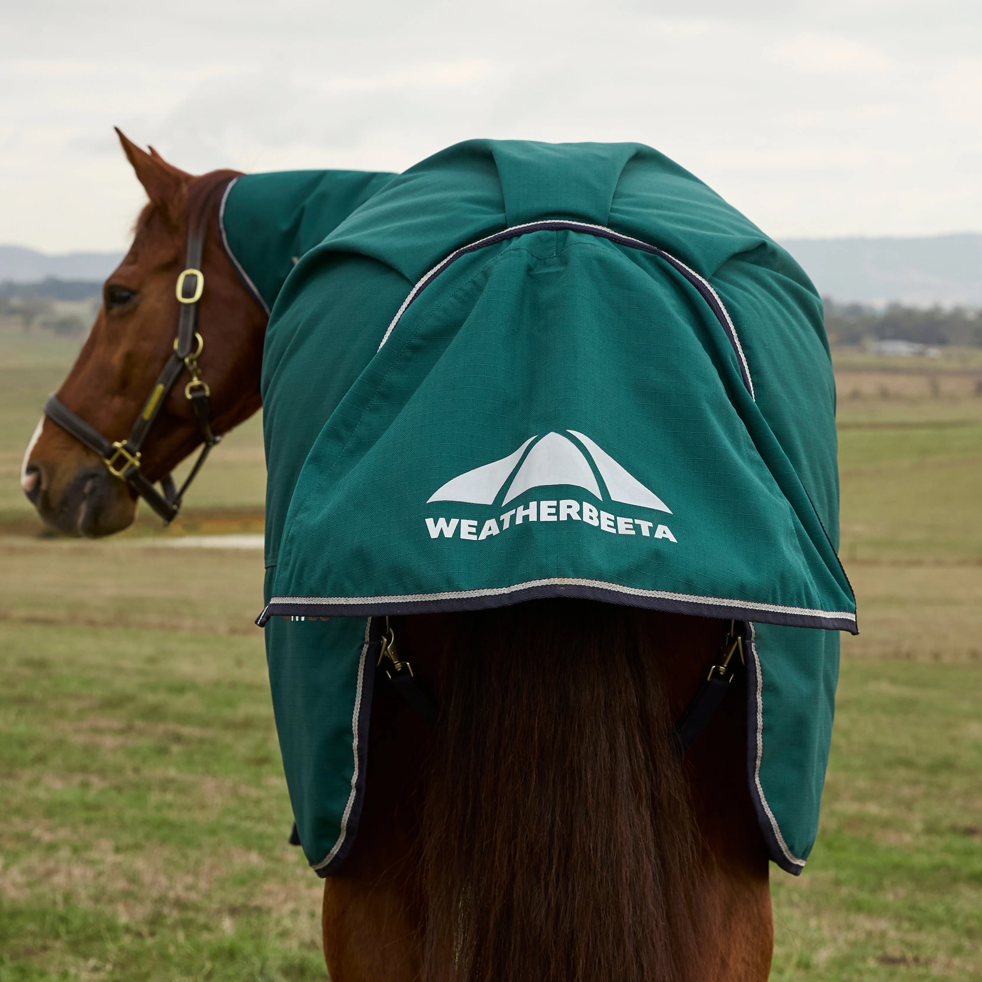 Weatherbeeta Comfitec Plus Dynamic 100G Detach-A-Neck Turnout - Image 12