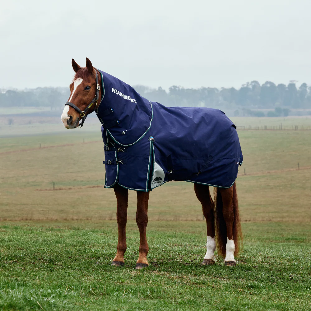 Weatherbeeta Comfitec Plus Dynamic 100G Detach-A-Neck Turnout - Image 13